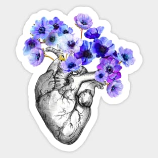 Blue Anemones Heart Human Anatomy Sticker